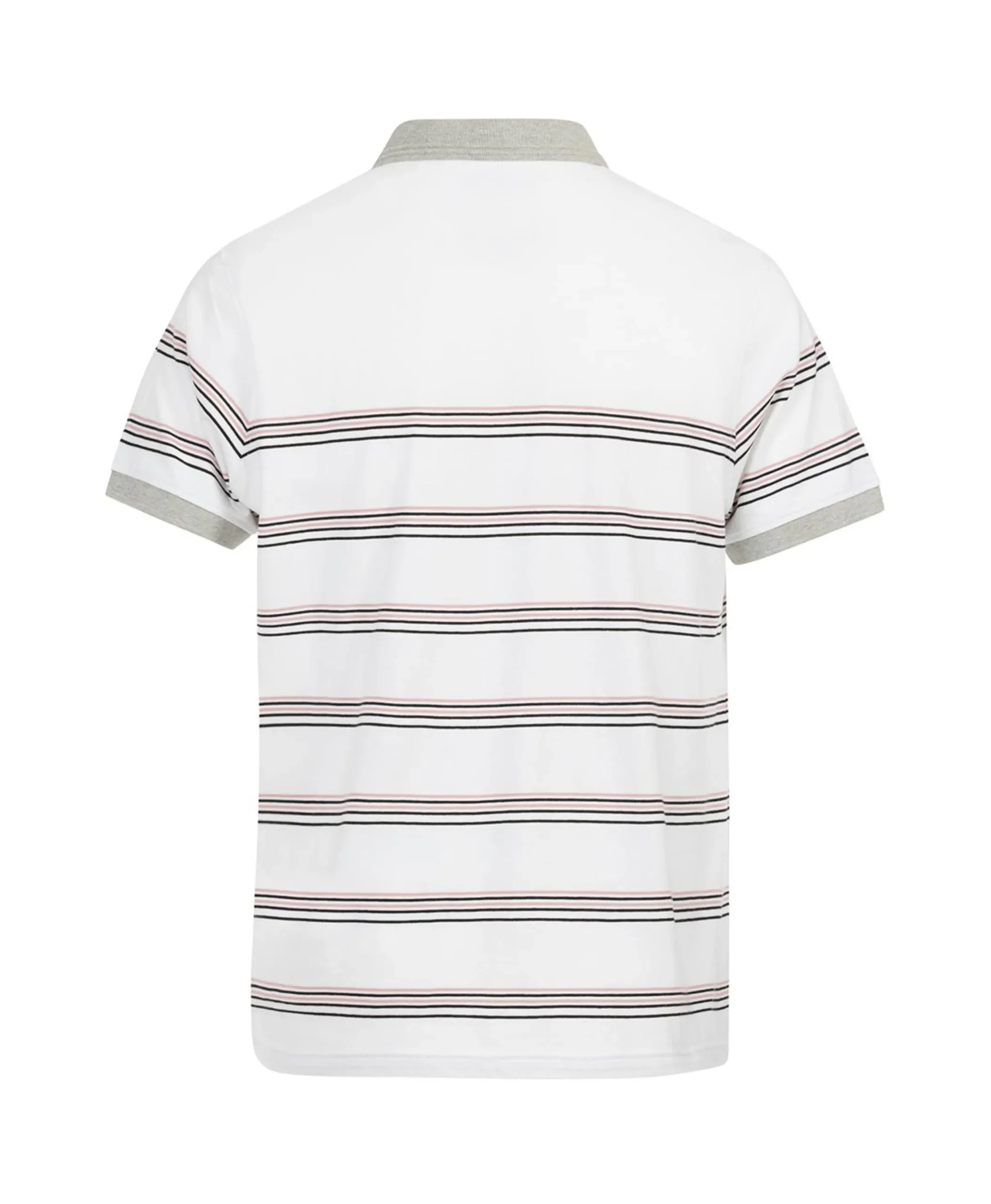 POLO MC RAYE FOND BLANC CEPLA